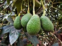 images/1671350464019images (1)22.jpg